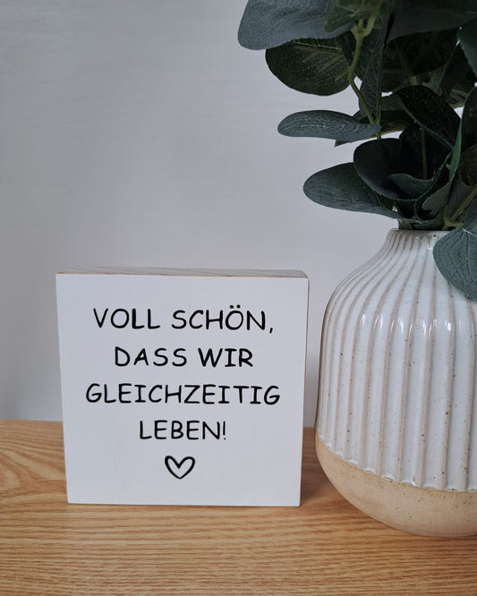 Holzschild voll schön